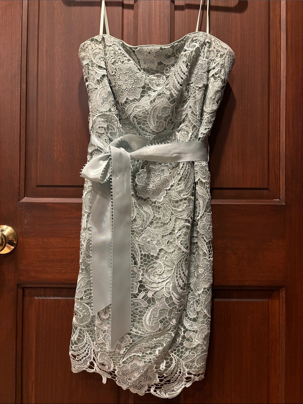 Strapless Lace Sheath Dress in Mint Green - Elegant Sleeveless Design